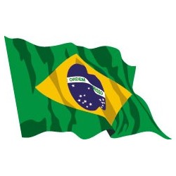 Bandiera Brasile Vendita Bandiere Americhe Bandiere Offerta Online