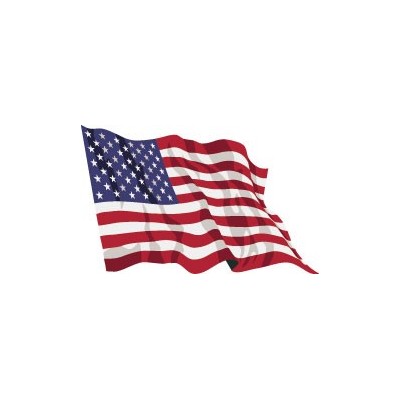 Bandiera Usa Vendita Bandiere Americhe Bandiere Offerta Online